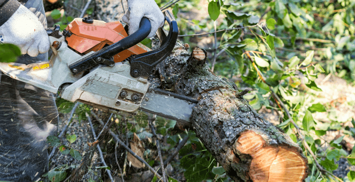 Michael's Tree Service